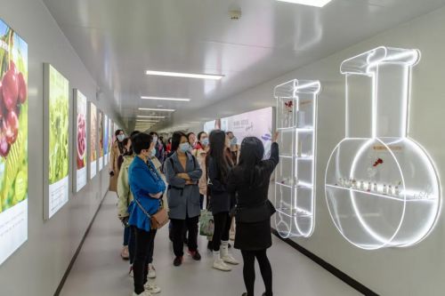 安琪紐特攜手中國營養學會，專業賦能藥品零售行業人才培養